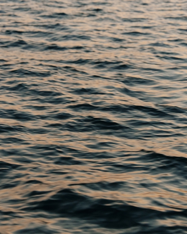 Как провести романтический уикенд в Сочи?