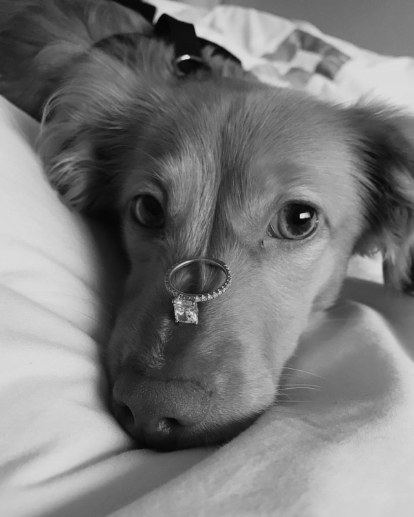 10 романтичных идей для помолвки