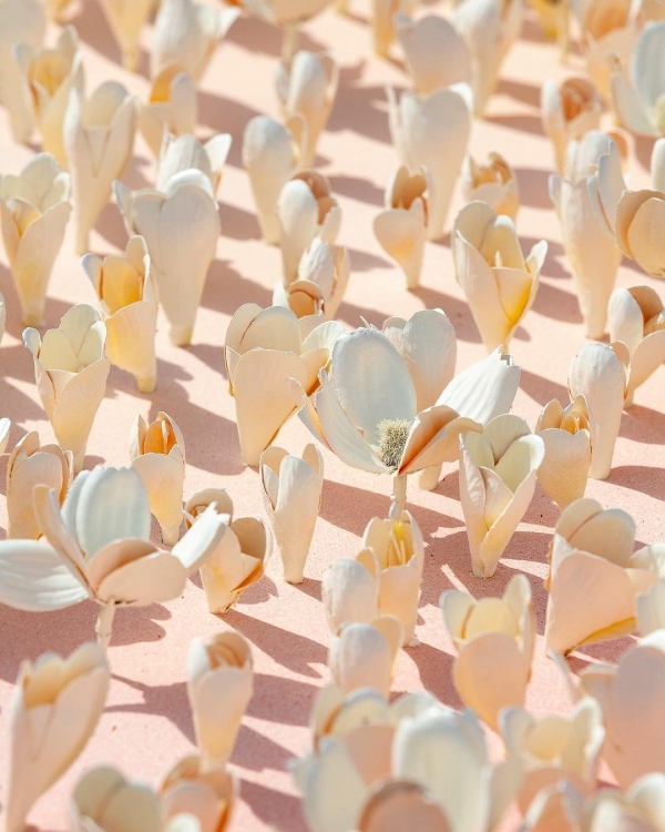 Где искать вдохновение для оформления свадебного ужина?