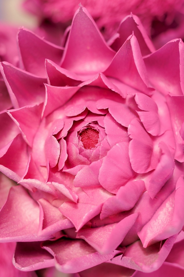 Интервью с невестой: о знакомстве в путешествии,