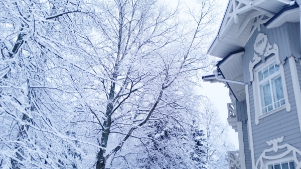 Площадки Загородный Клуб "Скандинавия" и СПА