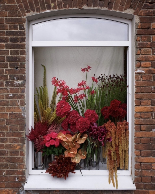 Где покупать самые красивые цветы в Москве?