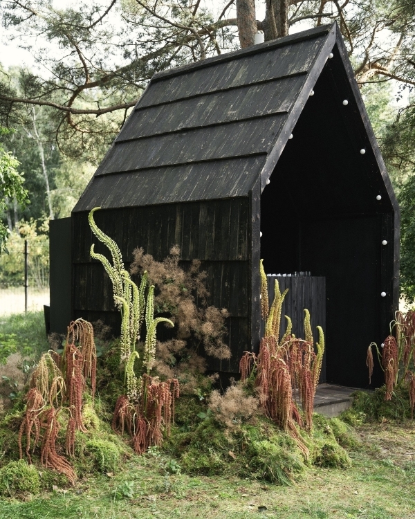 Самые запоминающиеся свадьбы сезона 2024