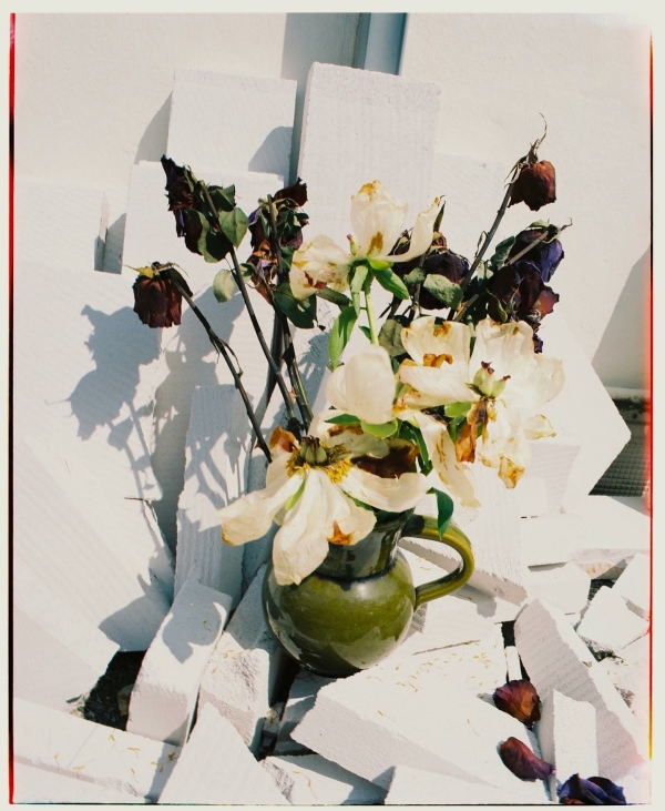 Хоу-хоу-хоу-хоу. Актуальная свадьба с отсылкой к «Сумеркам»