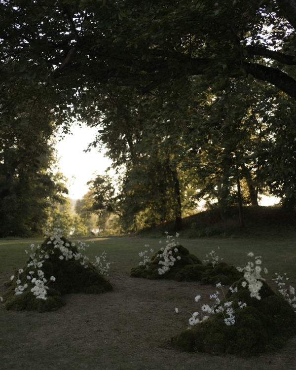 «Мне нравятся свадьбы, на которых люди пытаются