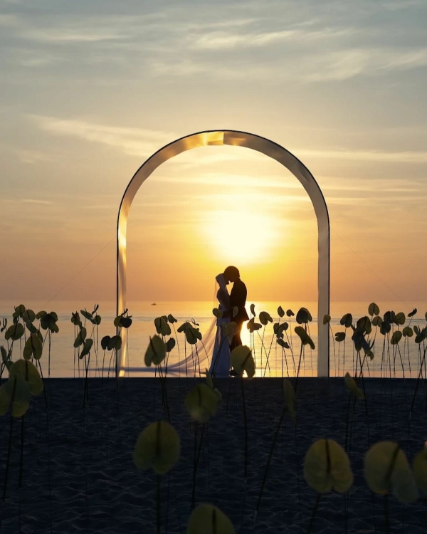 «Мне нравятся свадьбы, на которых люди пытаются