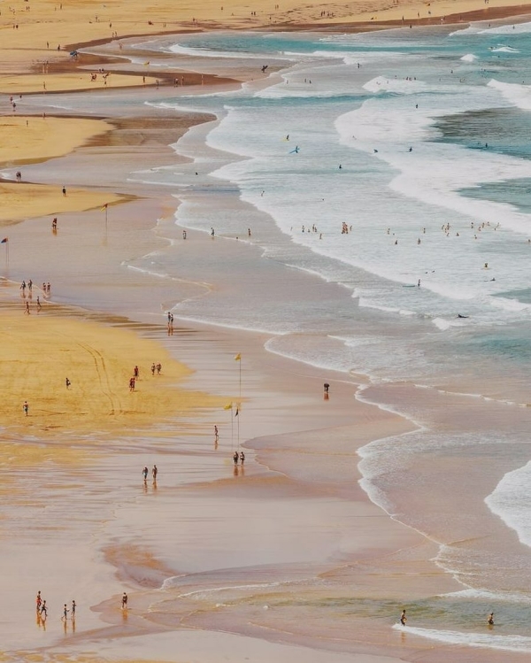 Хоу-хоу-хоу-хоу. Актуальная свадьба с отсылкой к «Сумеркам»