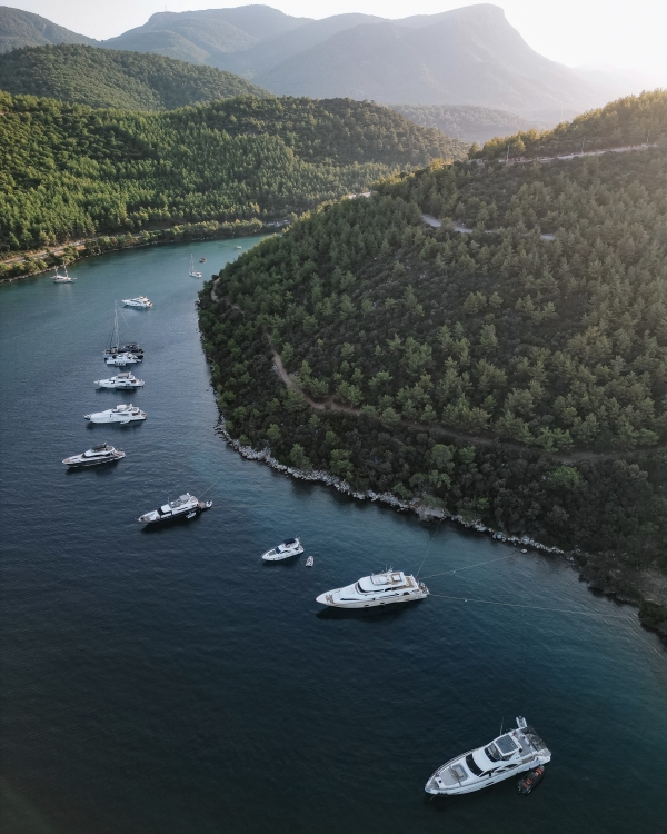 Как происходит подготовка свадьбы за границей? Рассказывает