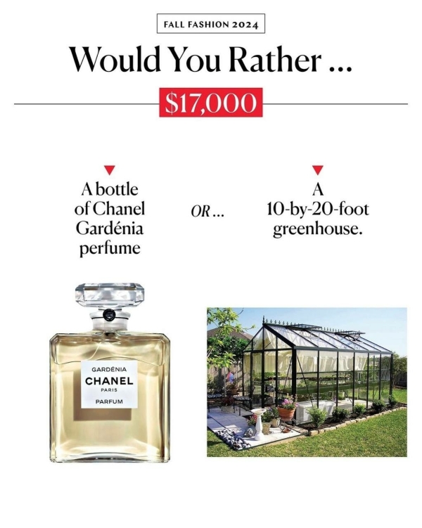 Комбинезон по цене машины: что показало исследование