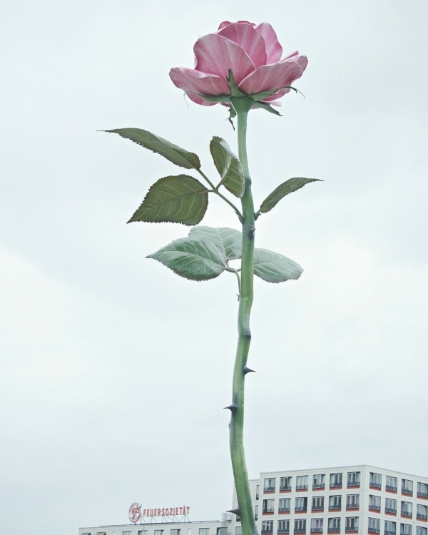 Как понять, что в подготовке к свадьбе