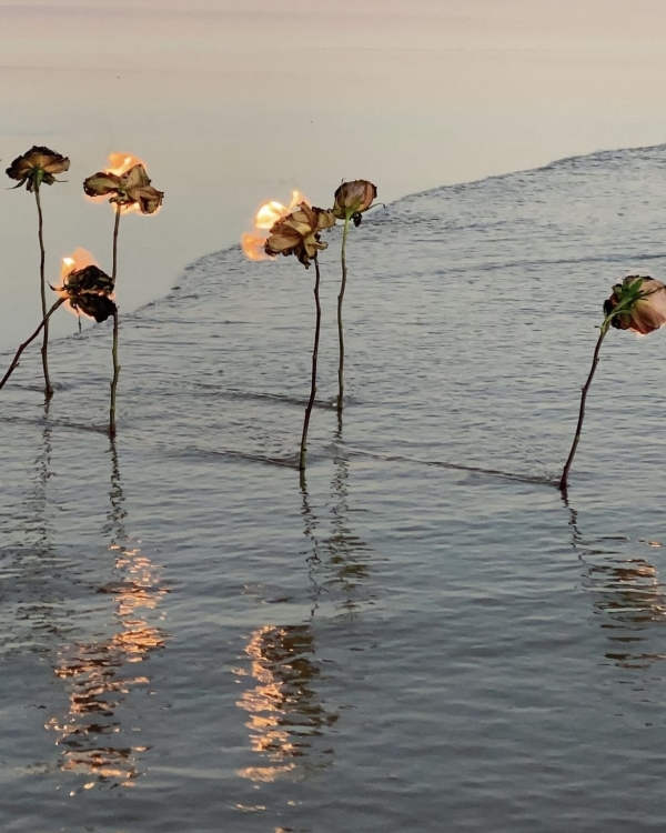 Цветет и пахнет. Как переосмыслить цветочную арку?