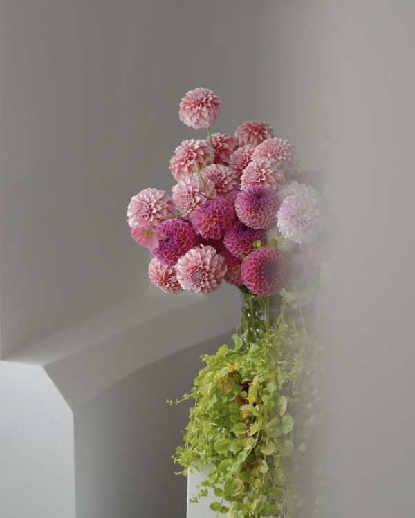 Где покупать самые красивые цветы в Москве?