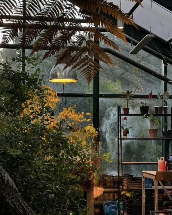 Завтракаем с Дали в «Едва знакомы», гуляем