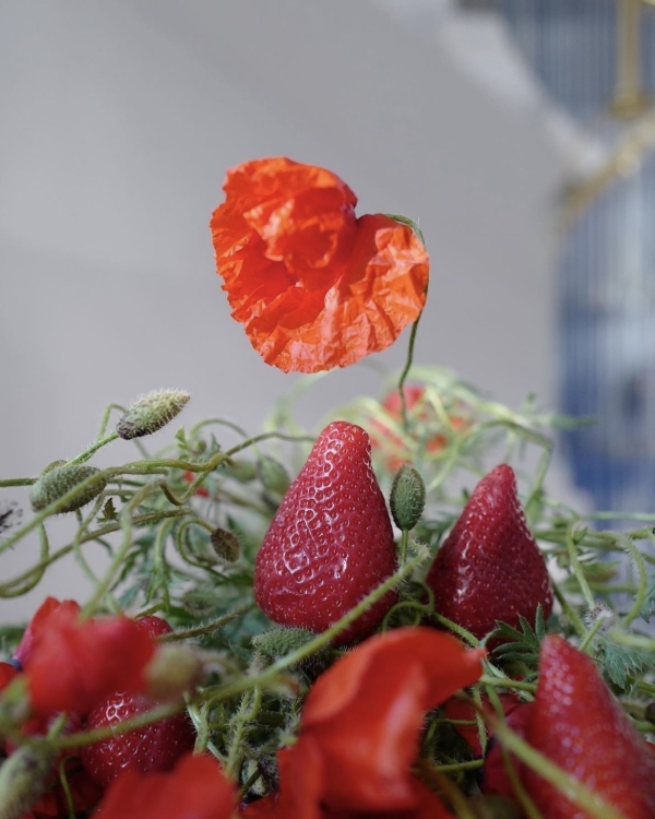 Где покупать самые красивые цветы в Москве?