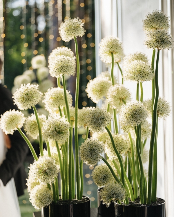 Масштаб и полное преображение пространства на свадьбах