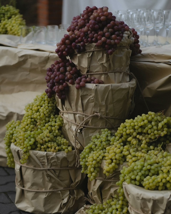 Самые запоминающиеся свадьбы сезона 2024