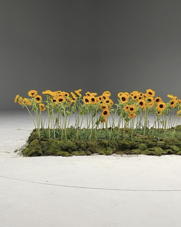 Цветет и пахнет. Как переосмыслить цветочную арку?