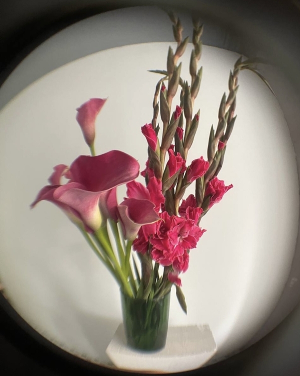 Где покупать самые красивые цветы в Москве?