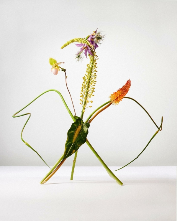 Хоу-хоу-хоу-хоу. Актуальная свадьба с отсылкой к «Сумеркам»