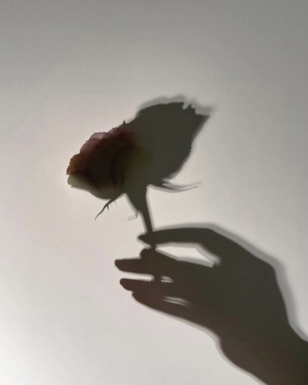 Свет, камера, мотор: лучшие фотостудии Санкт-Петербурга