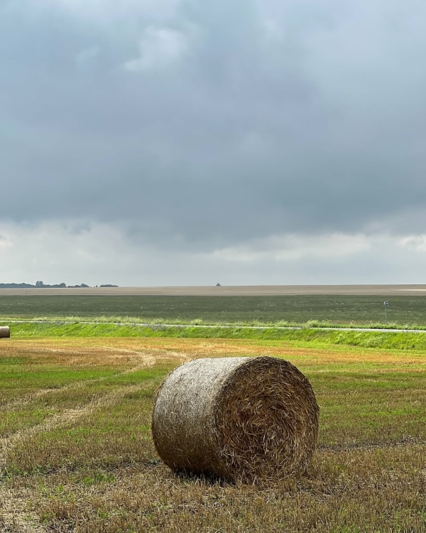 Стоим твердо на земле. Вот 5 отпускных
