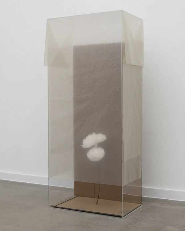 Свадьба летом 2026? Вот что можно начать