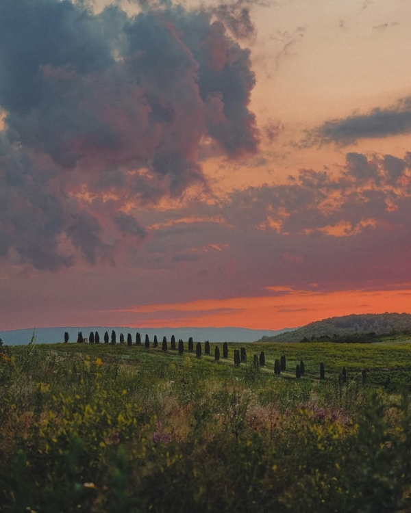 10+ виноделен России, которые стоит посетить в