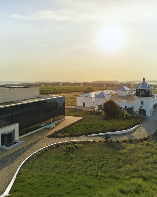 10+ виноделен России, которые стоит посетить в