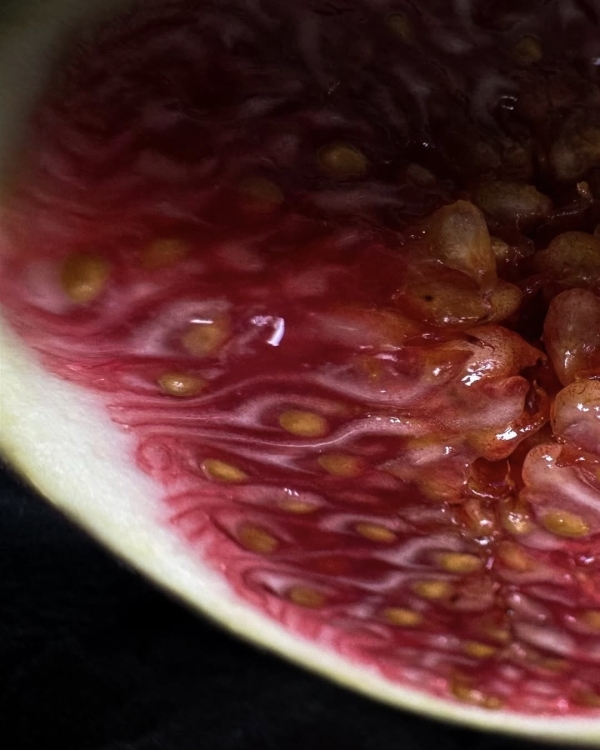 Старт сезона в МАММ и другие события,