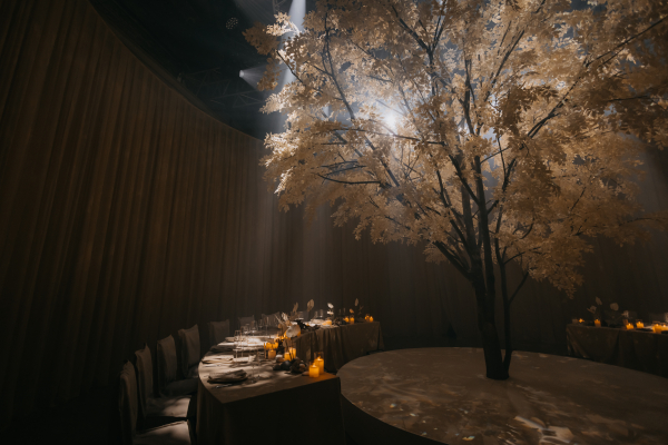 Площадки Omega Events