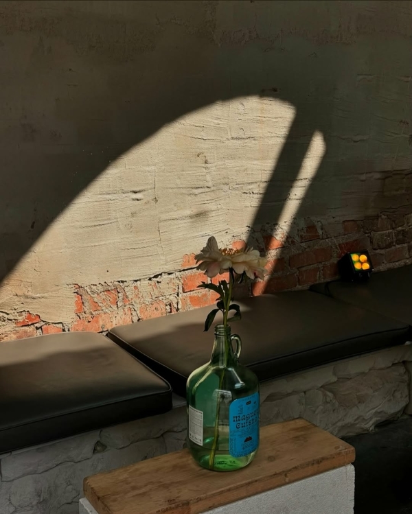 Старт сезона в МАММ и другие события,