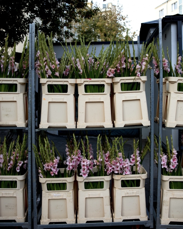Дарья Цыпилева: «Мы создали на один вечер