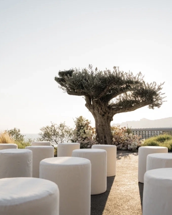 Парящий мост, виноградники и море. Что предлагает