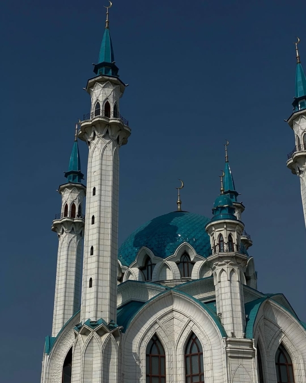 Стоим твердо на земле. Вот 5 отпускных