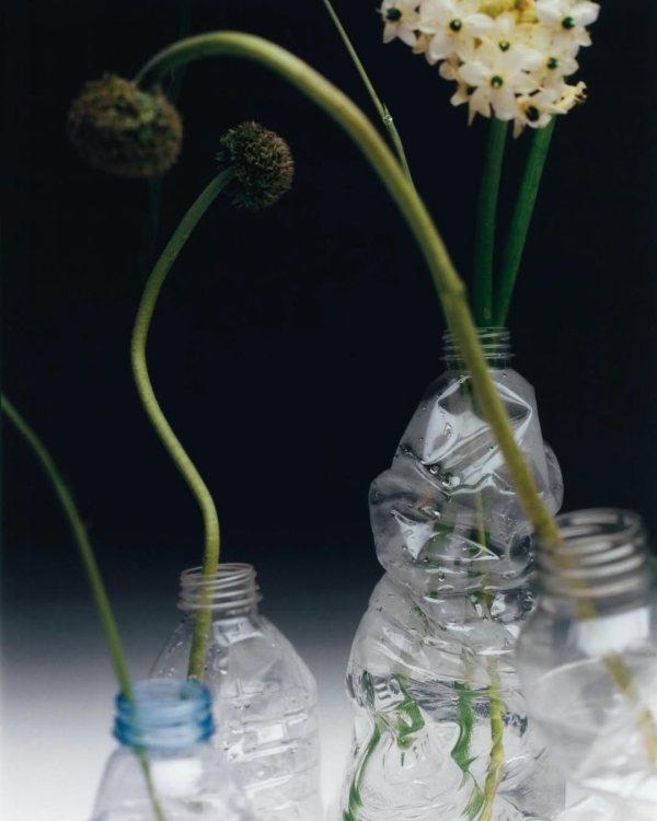 Как отвечать на бестактные вопросы о свадьбе,