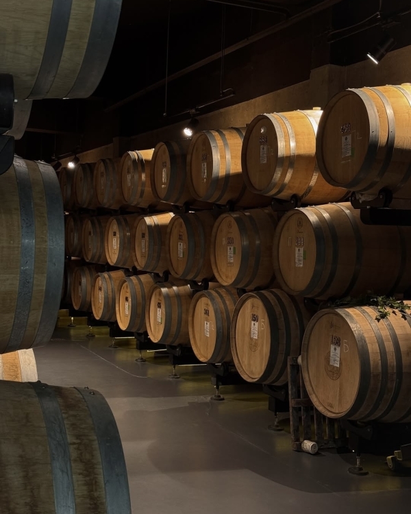 10+ виноделен России, которые стоит посетить в