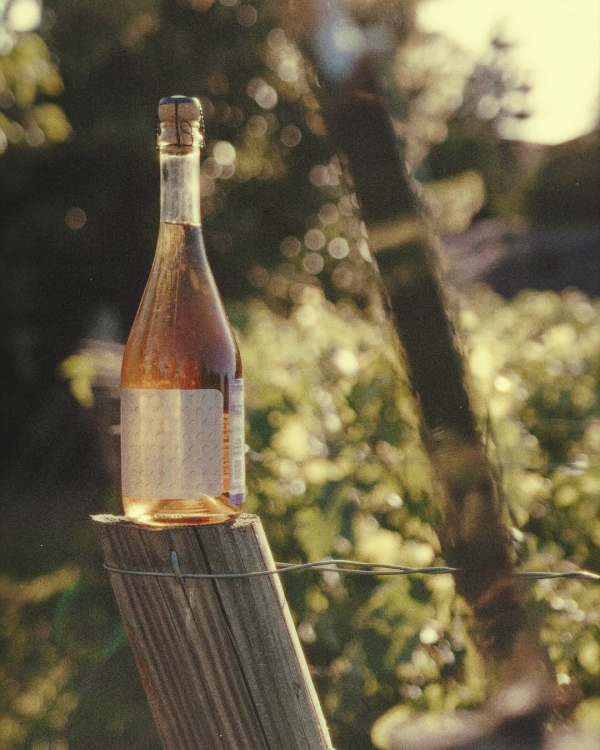 10+ виноделен России, которые стоит посетить в