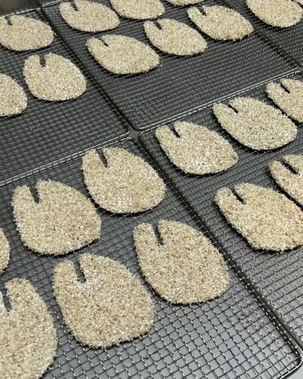 Вечеринка Ксении Собчак, на которой была вся