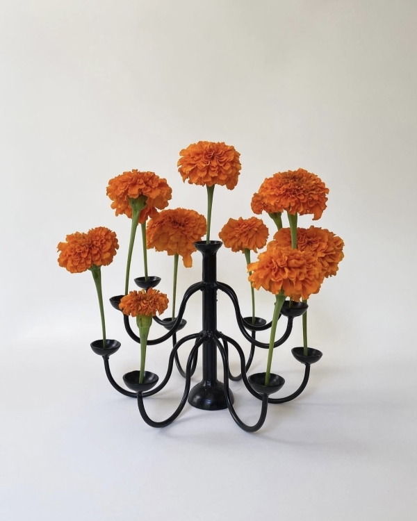 Cosmic Orange — главный тренд осени 2025,