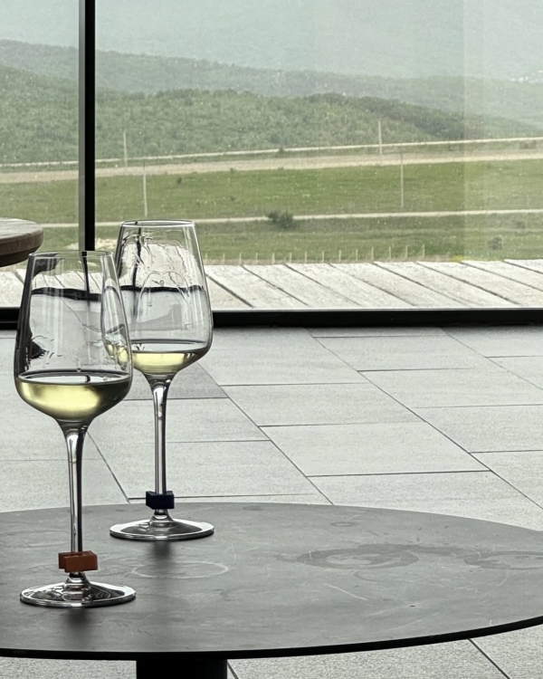 10+ виноделен России, которые стоит посетить в