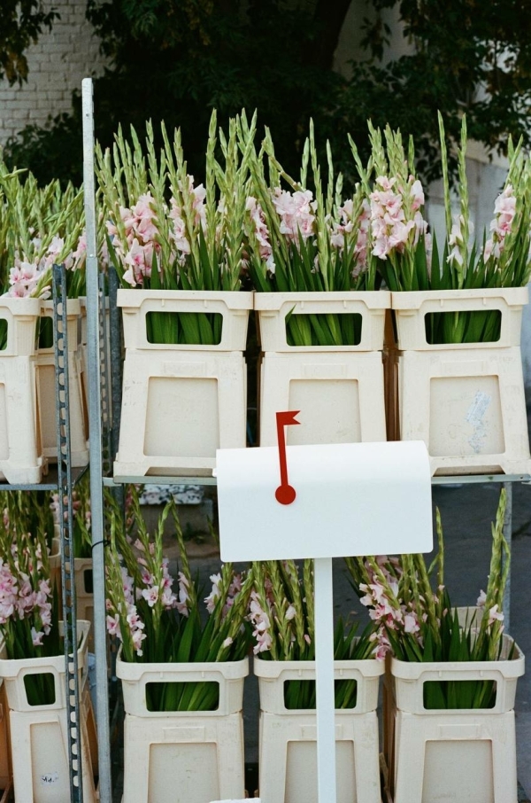 Дарья Цыпилева: «Мы создали на один вечер