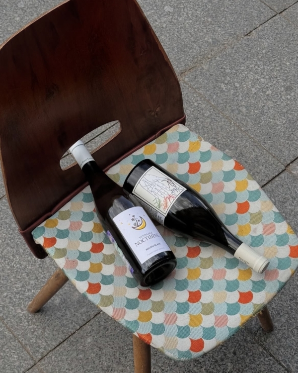 Работаем с 9 до вина. Вот лучшие