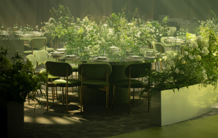 Декораторы Илона Бильчук