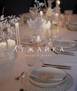 Декораторы Лужайка