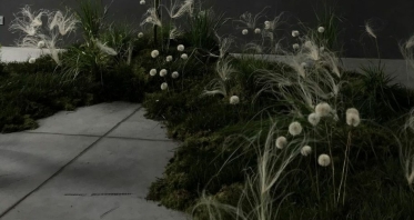 Декораторы PAVLÍNA design