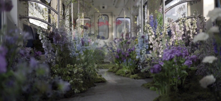 Декораторы PAVLÍNA design