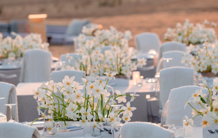 Декораторы MARIA GERMAN DECOR