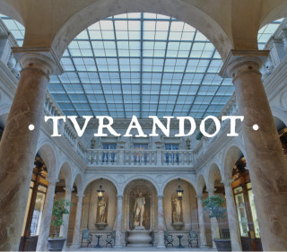 Площадки Turandot