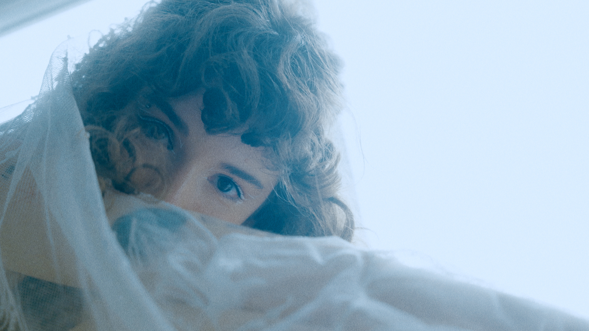 Видеографы Дмитрий Крылов