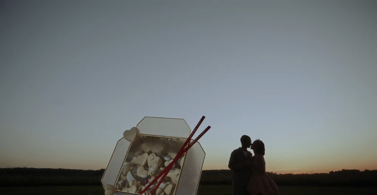 Видеографы Олег Леднев